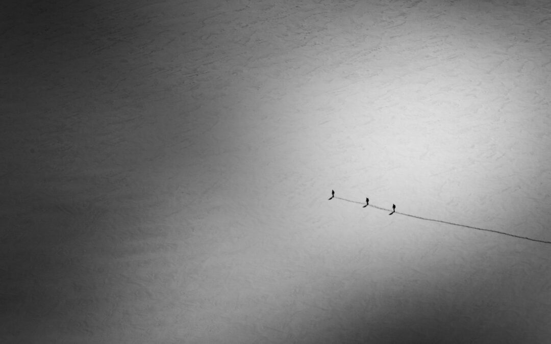 Leading with Trust:  Which side of the fence do you sit on?