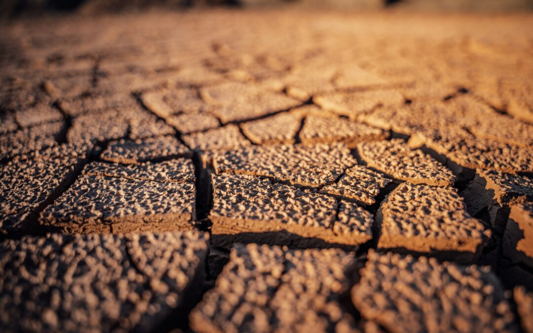 The Quiet Slide: How Ignoring Issues Erodes Workplace Culture