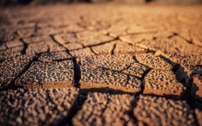 The Quiet Slide: How Ignoring Issues Erodes Workplace Culture